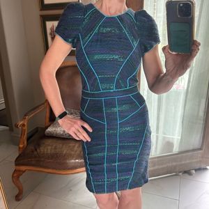 Bensoni | structured paneled puff sleeve dress 2010 runway 1414